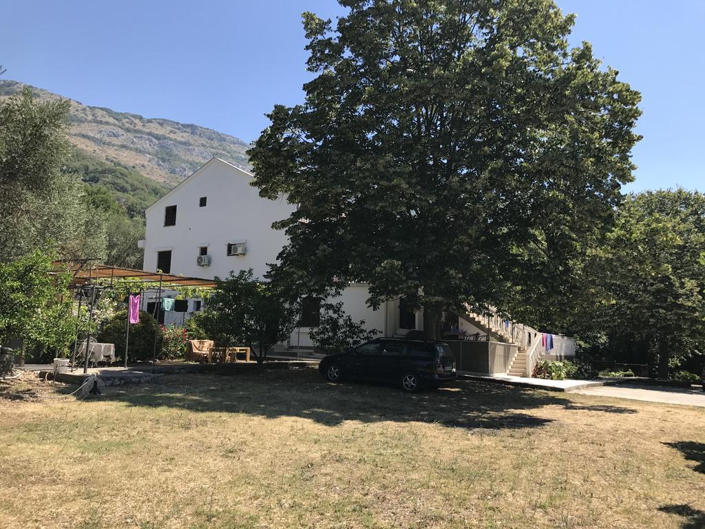 Vuko I Magdalena Midzor Daire Petrovac Dış mekan fotoğraf